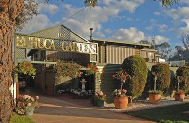 Echuca Gardens Hotell Eksteriør bilde